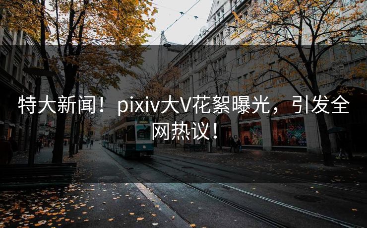 特大新闻！pixiv大V花絮曝光，引发全网热议！