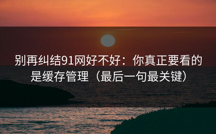 别再纠结91网好不好：你真正要看的是缓存管理（最后一句最关键）