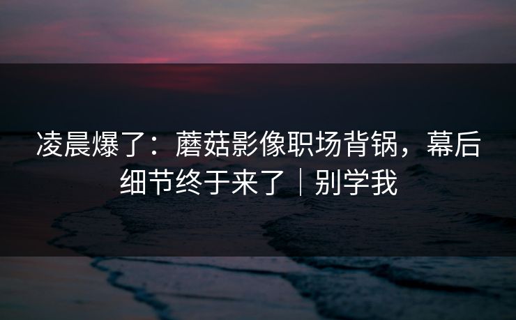 凌晨爆了：蘑菇影像职场背锅，幕后细节终于来了｜别学我